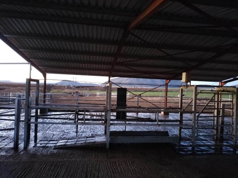 5 Bedroom Property for Sale in Queenstown Rural Eastern Cape